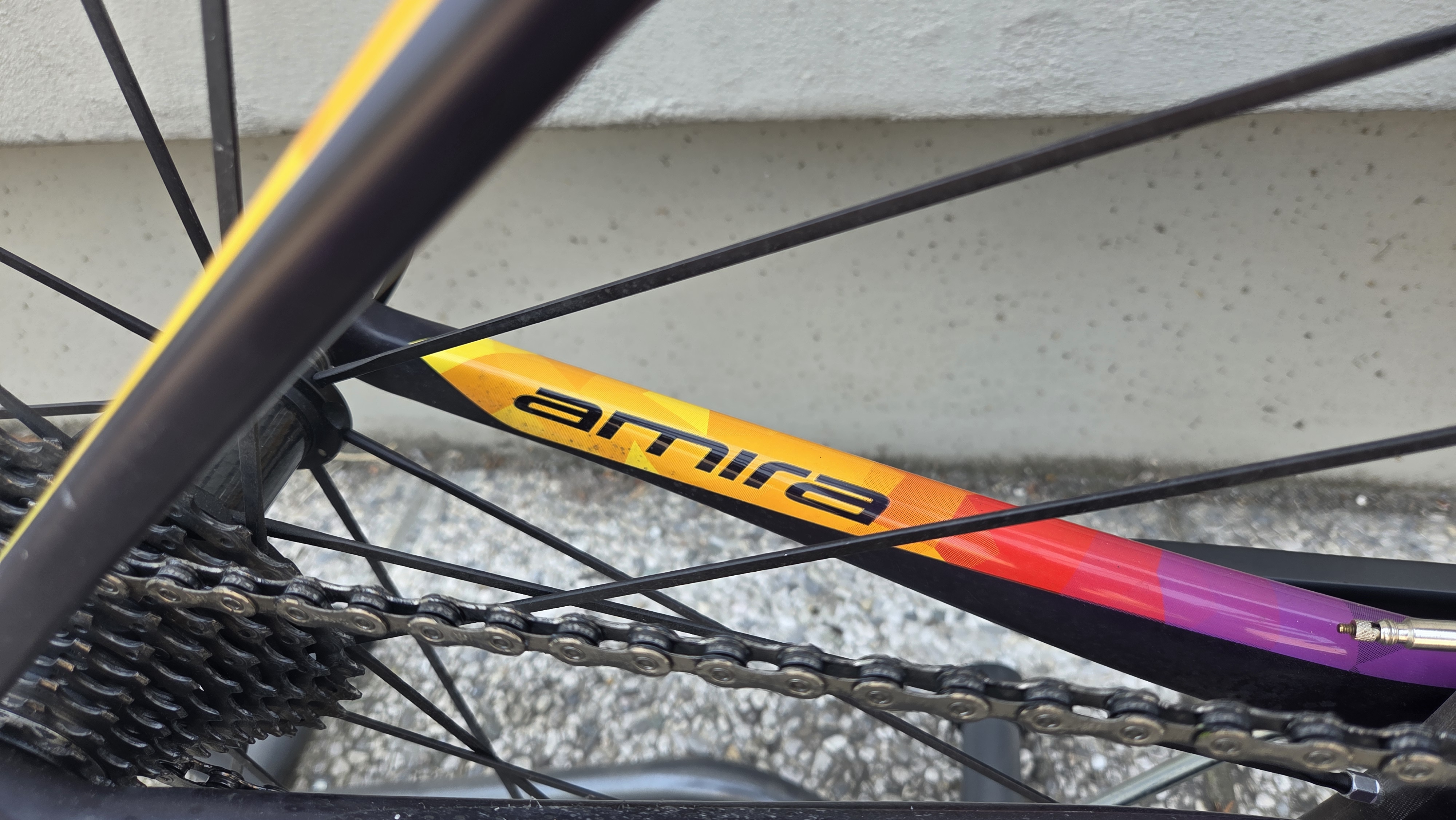 SPECIALIZED S-WORKS AMIRA