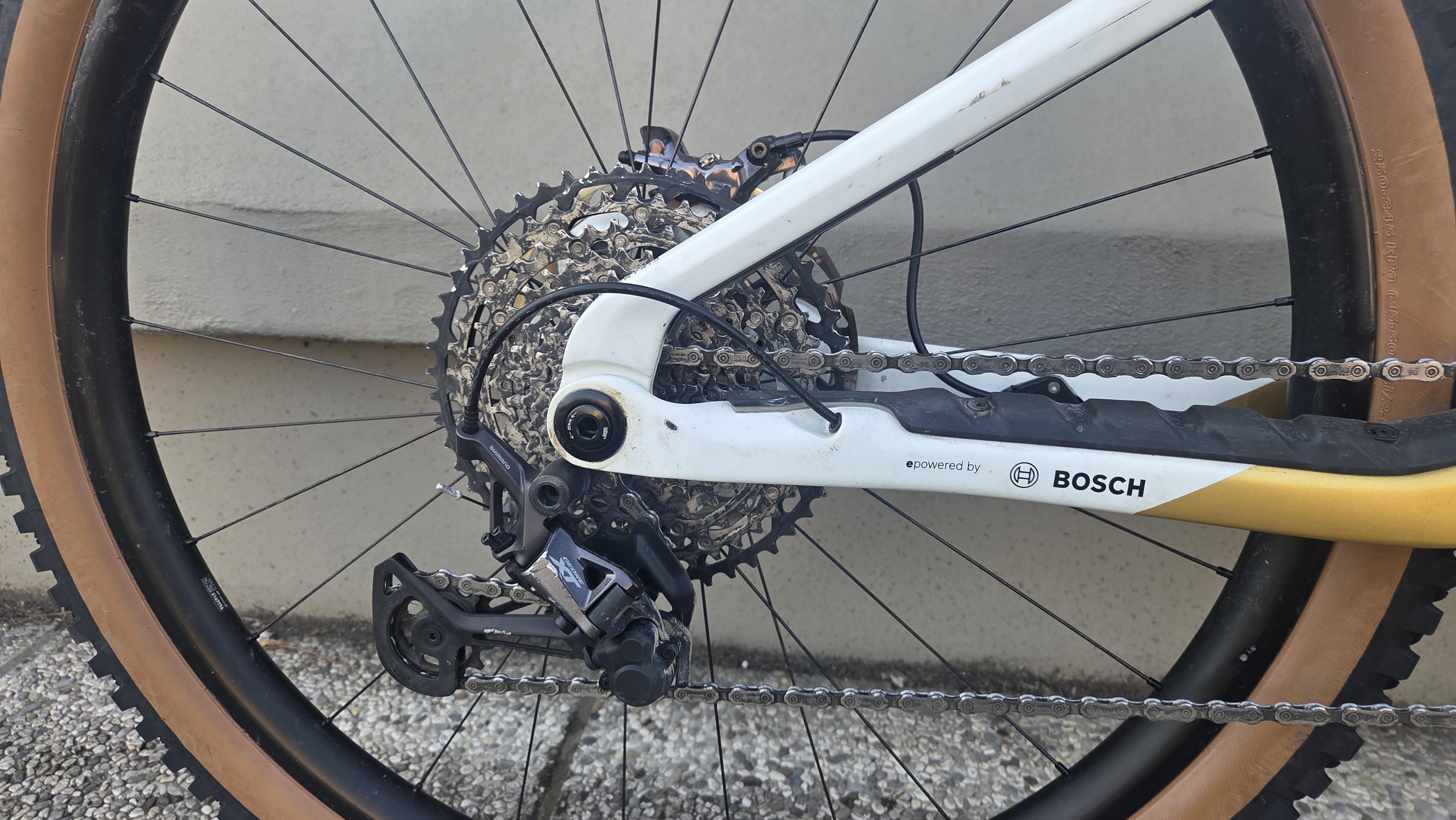 ORBEA WILD TR M10