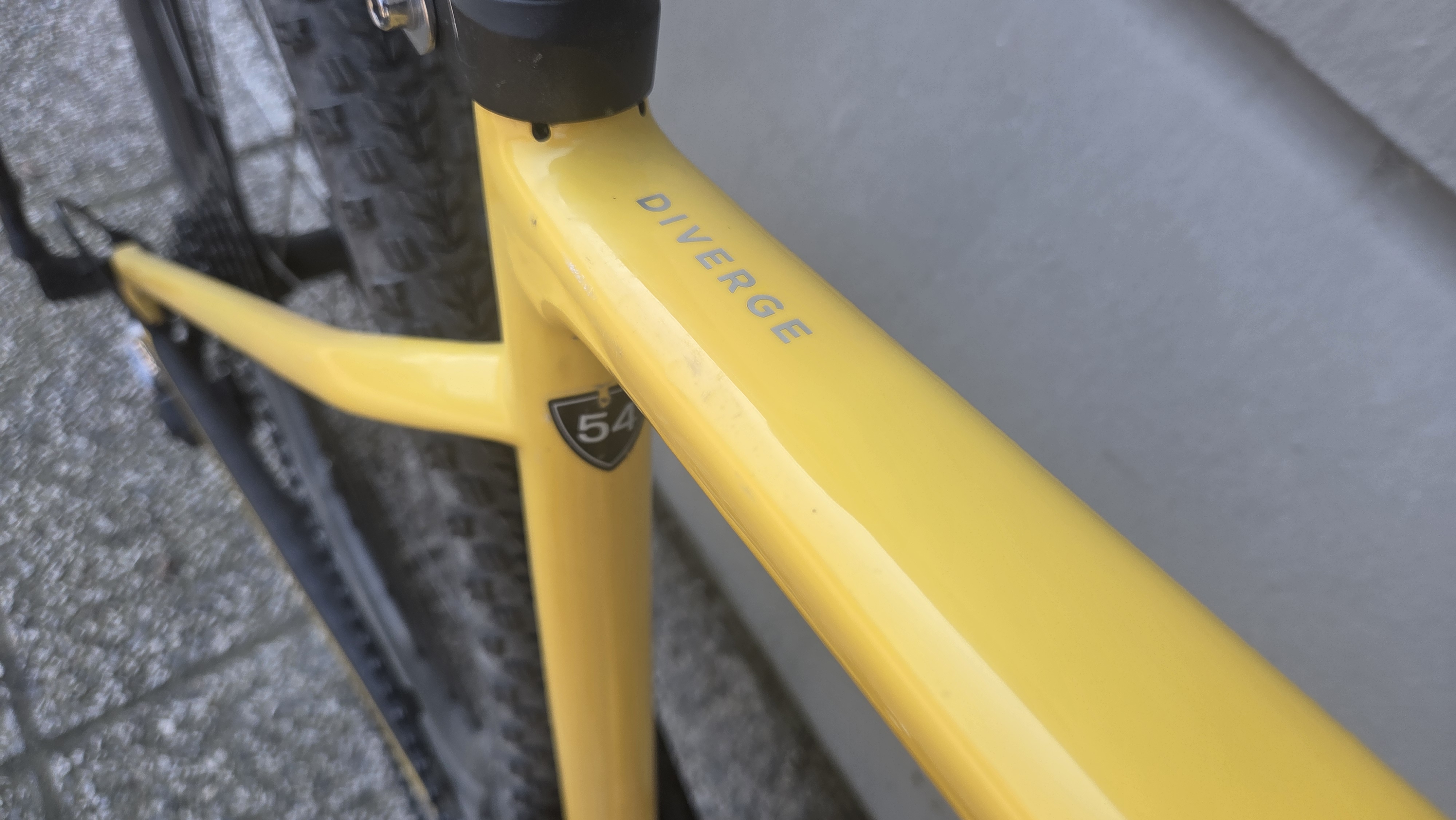 SPECIALIZED DIVERGE SPORT CARBON tg. 54